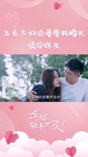 小乌龟逃亡记