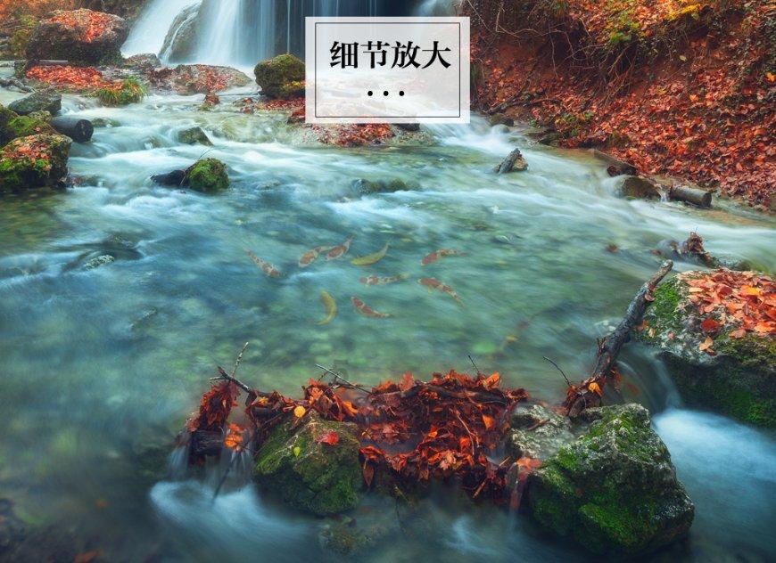 解答无忧,尽在为什么中国热带反而发达问答平台