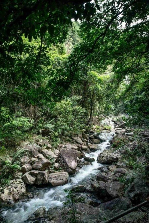 南京：老城扮靓焕发文旅新活力