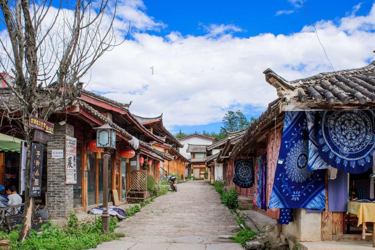 拯救精灵的土地8